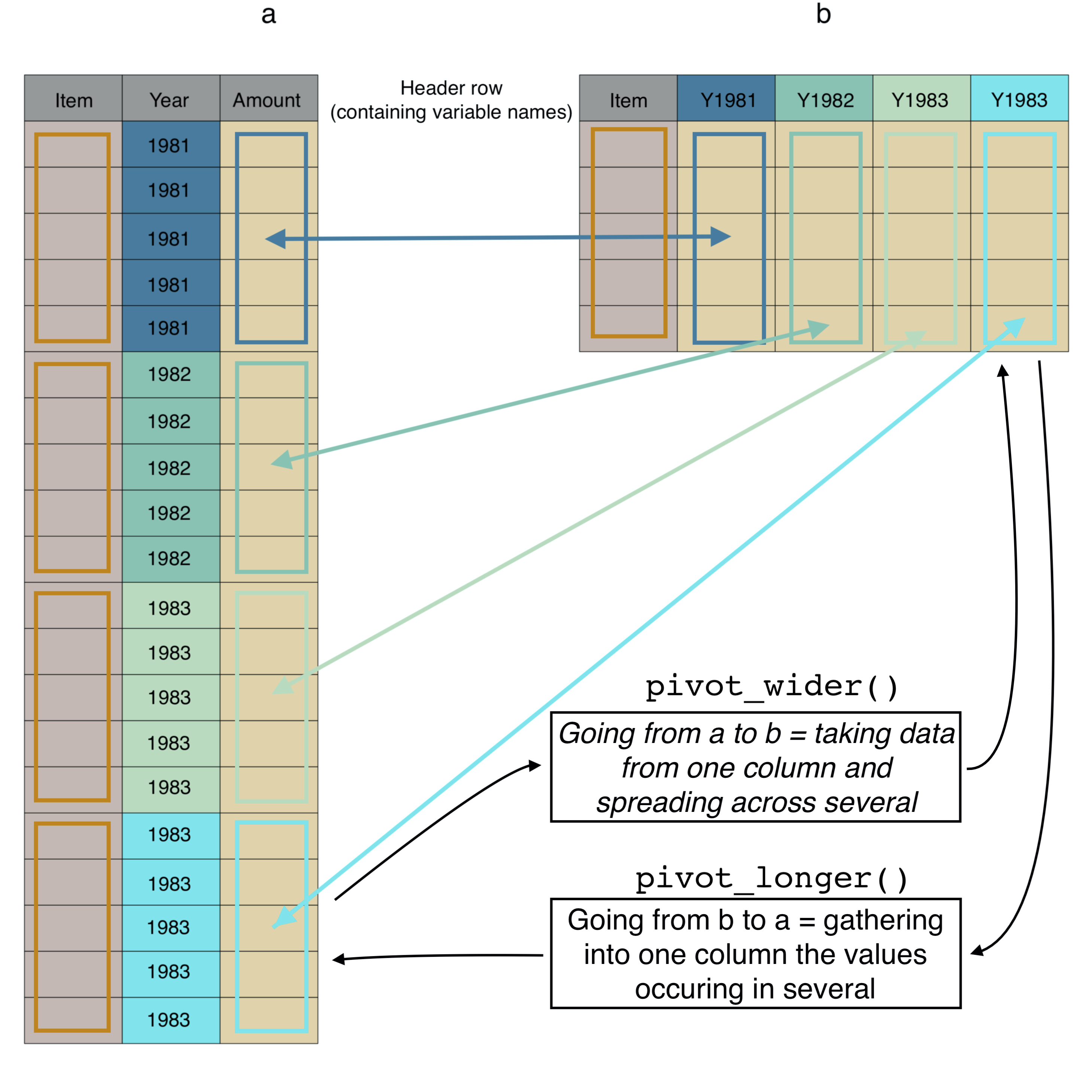 The same data (a) in long/tidy format and (b) in wide format, with colours and arrows linking the same data in the two different formats.